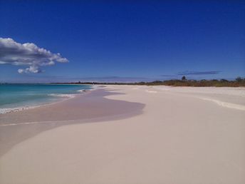 Antigua and Barbuda, Barbuda island, Diana beach (Coco Point)