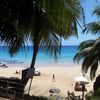 Brazil, Fernando de Noronha islands, Praia do Cachorro beach, palms