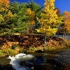 Canada, Prince Edward Island, creek