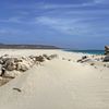 Cape Verde, Boa Vista island, Curral Velho beach