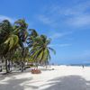 Colombia, San Andres island, palm beach