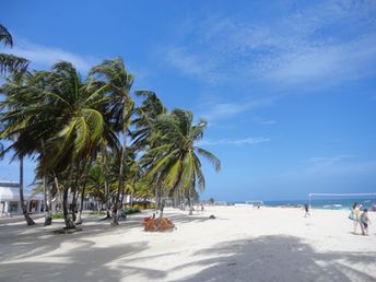 Colombia, San Andres island, palm beach