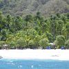 Costa Rica, Isla Tortuga island, palms