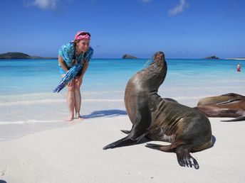Galapagos islands, Espanola island, Gardner Bay, sea lion