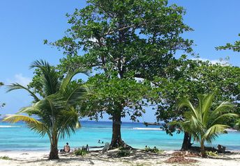 Jamaica, Winnifred beach