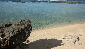 Japan, Amami, Okinoerabu island