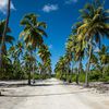 Kiribati, Kiritimati island (Christmas Island), palms