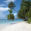 Maldives, Fihalhohi Island Resort, palm trees