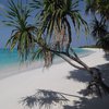 Maldives, Fulhadhoo island, beach