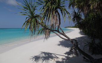 Maldives, Fulhadhoo island, beach