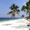 Мальдивы, Атолл Раа, Reethi Faru Resort, пляж