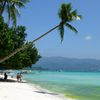 Philippines, Boracay island, White Beach, palm tree over water