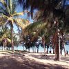 Reunion, palm beach