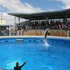 США, Флорида, Остров Санта Роза, Gulfarium Marine Adventure Park