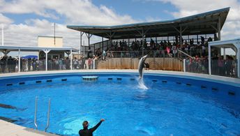 США, Флорида, Остров Санта Роза, Gulfarium Marine Adventure Park