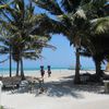Belize, Caye Caulker island, palm beach