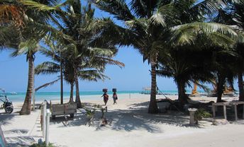 Belize, Caye Caulker island, palm beach