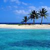 Belize, Lighthouse Reef atoll, palms