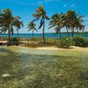 Belize, Turneffe islands, fishing