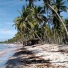 Brazil, Boipeba island, Praia da Cueira beach