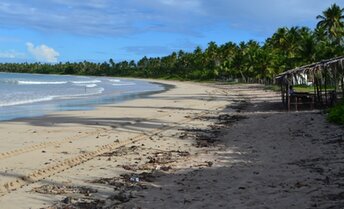 Brazil, Boipeba island, Praia de Bainema beach