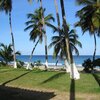 BVI, Tortola island, Lambert Bay beach, garden
