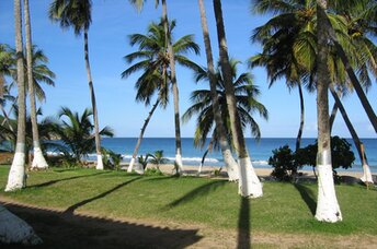Британские Виргинские острова, Остров Тортола, пляж Lambert Bay, сад