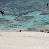 Cook Islands, Atiu island, swimming on reef