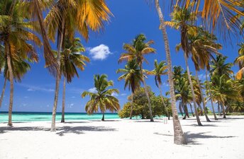 Dominican Republic, Saona, Canto de la Playa beach