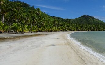 French Polynesia, Mai'ao island, beach, water edge