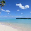 French Polynesia, Maupiti atoll, beach, palm