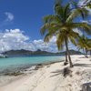 Grenadines, Palm Island, beach