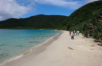 Japan, Amami Oshima island, Nishikomi beach