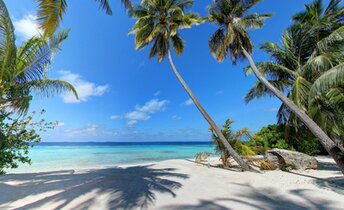 Maldives, Gaafu atoll, Maguhdhuvaa beach