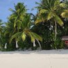 Maldives, Gaafu atoll, Maguhdhuvaa beach, view from water