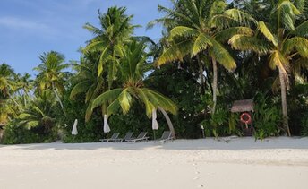 Maldives, Gaafu atoll, Maguhdhuvaa beach, view from water