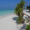 Maldives, Haa Dhaalu atoll, Hanimaadhoo beach