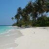 Maldives, Noonu Atoll, Fodhdhoo beach, palms
