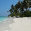 Maldives, Noonu Atoll, Fodhdhoo beach, palms
