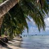 Mariana Islands, Saipan island, beach, palm over water