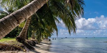 Mariana Islands, Saipan island, beach, palm over water