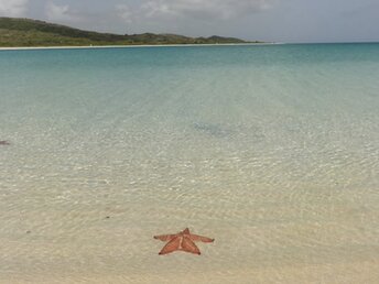 Puerto Rico, Vieques island, Icacos beach