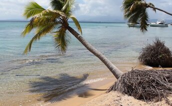 Puerto Rico, Vieques island, Punta Arenas beach
