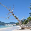 Seychelles, Mahe island, Therese beach