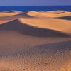 Spain, Canary Islands, Gran Canaria island, Maspalomas dunas