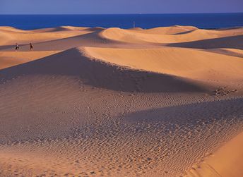Spain, Canary Islands, Gran Canaria island, Maspalomas dunas