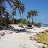 Tobago Cays islands, Petit Tabac beach