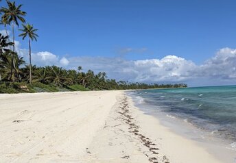 Bahamas, Andros island, Caerula Mar Club beach
