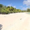French Polynesia, Makemo atoll, beach