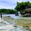 Palau, Angaur island, rock